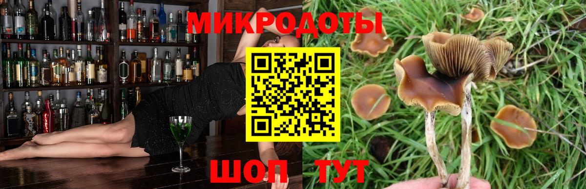 Барабинск  купить  сайты  Вход с VPN  Галлюциногенные грибы MAGIC MUSHROOMS  Галлюциногенные грибы Cubensis 